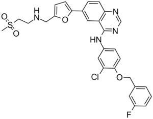Lapatinib (GW-572016, Tykerb, Tyverb) 231277-92-2
